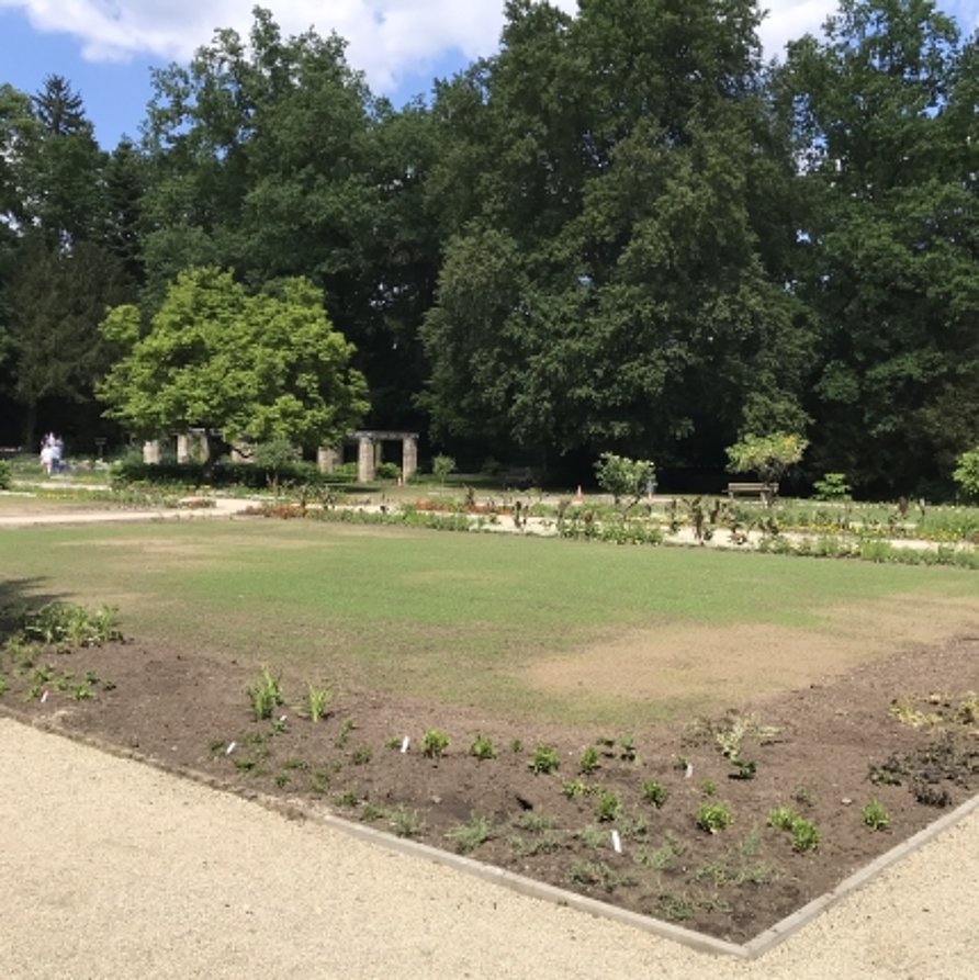 Botanischer Garten Bamberg Ausflugstipp Bamberg Ein