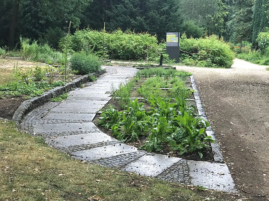 Botanischer Garten Bamberg Ausflugstipp Bamberg Ein