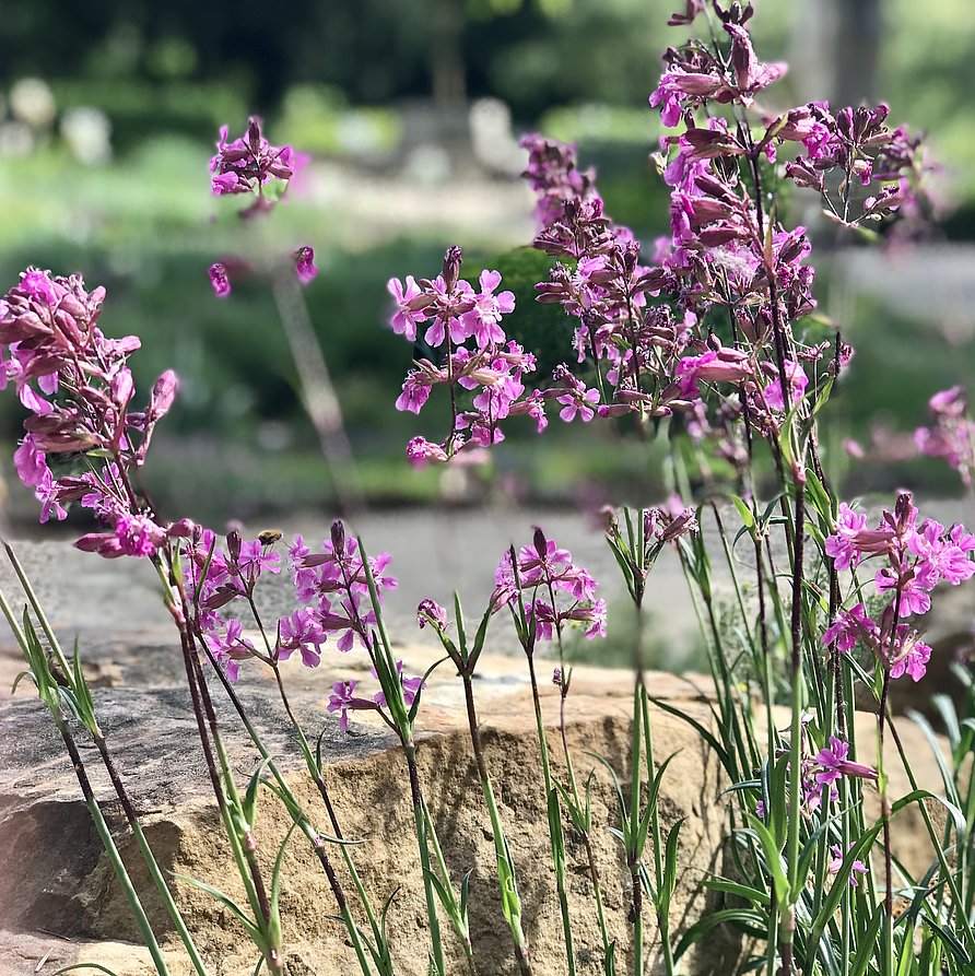 Botanischer Garten Bamberg Ausflugstipp Bamberg Ein